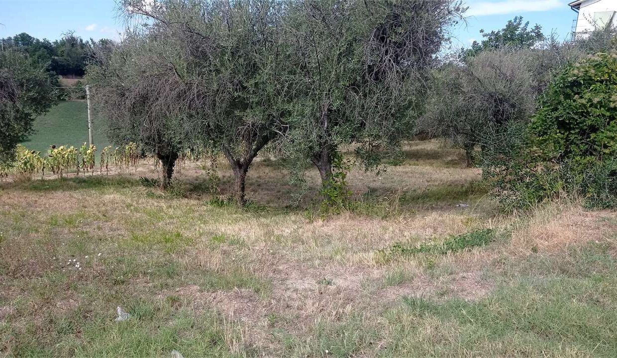 imm_7649-20250321151138-1280-