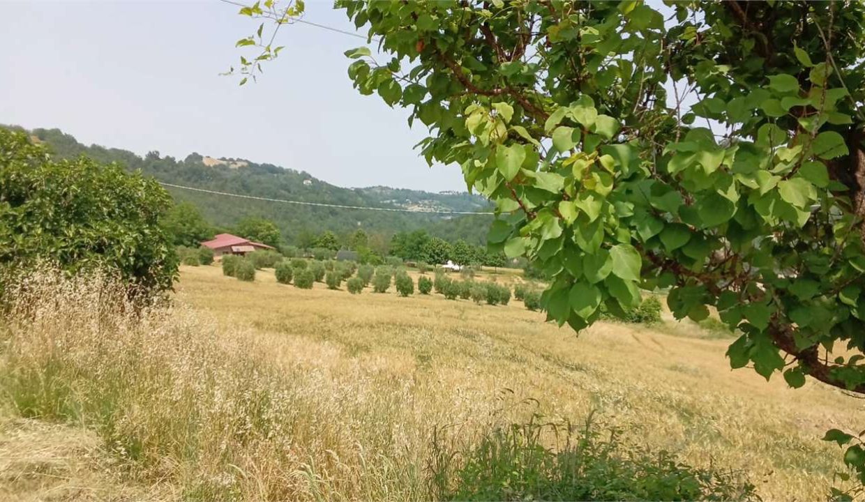 imm_12639-20251118165003-1280-